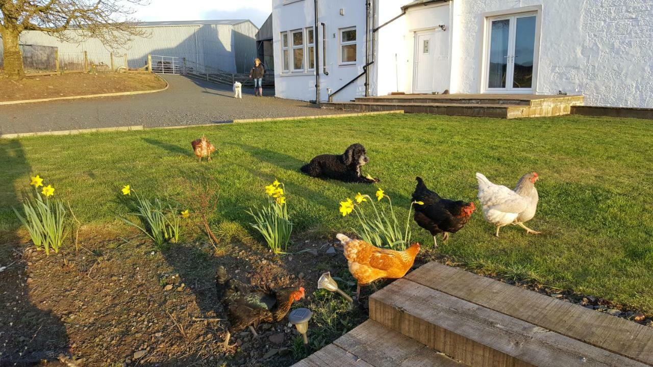Crofthead Farm House Tarbolton Dış mekan fotoğraf