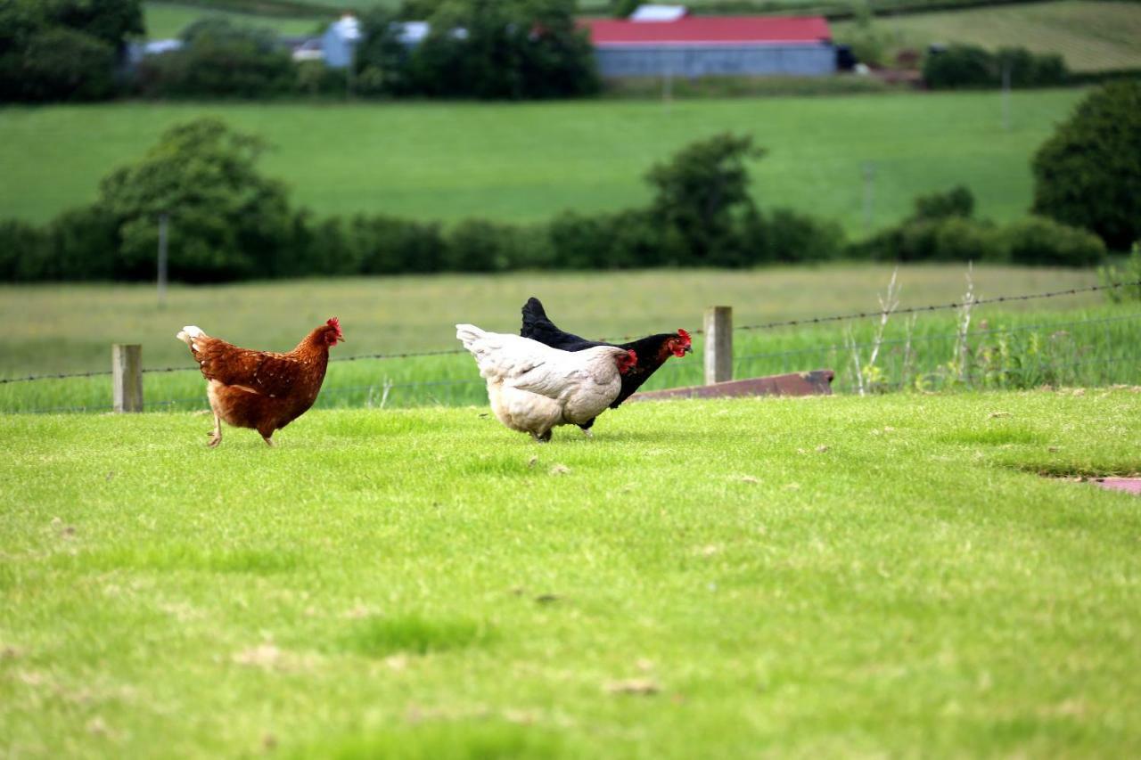 Crofthead Farm House Tarbolton Dış mekan fotoğraf