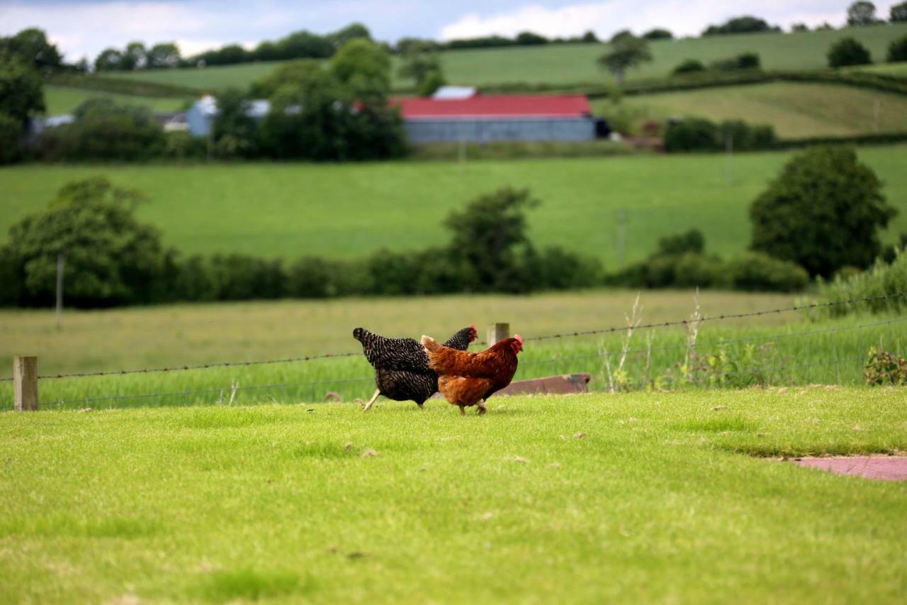 Crofthead Farm House Tarbolton Dış mekan fotoğraf